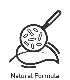 Dm 20250403160740 002