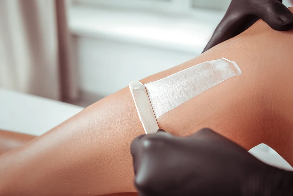 Shutterstock 1457666726